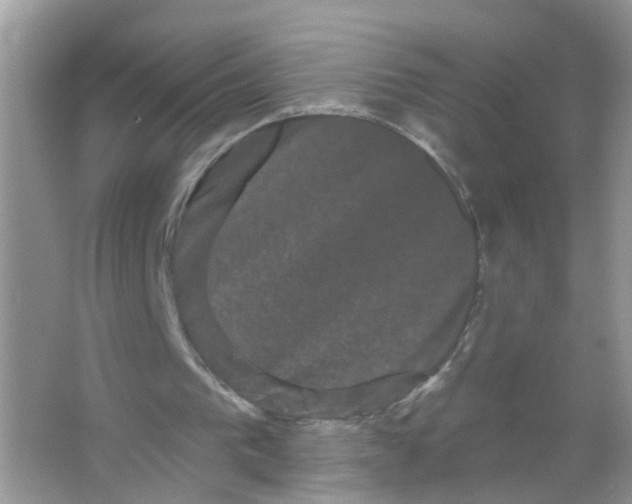 X0000065990193200603311940