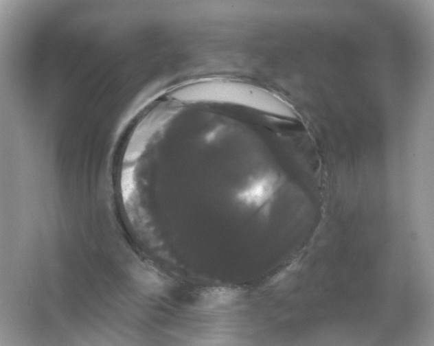 X0000065990198200603311940