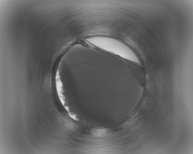X0000065990202200603311939