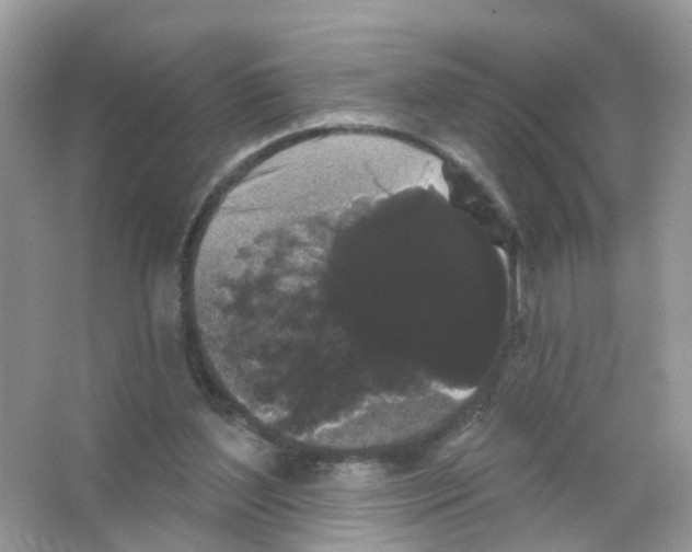 X0000065990204200603311939