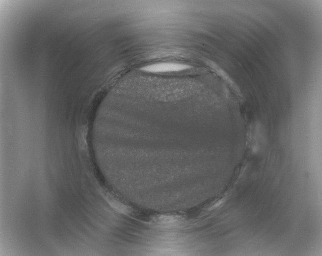 X0000065990209200603311939