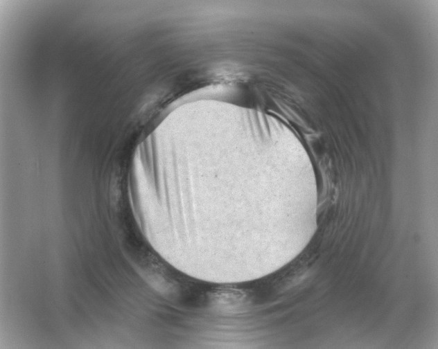 X0000065990215200603311939