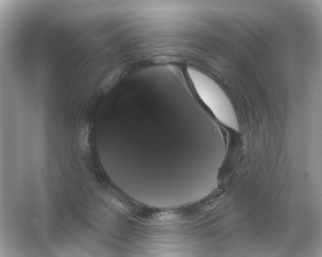 X0000065990219200603311939