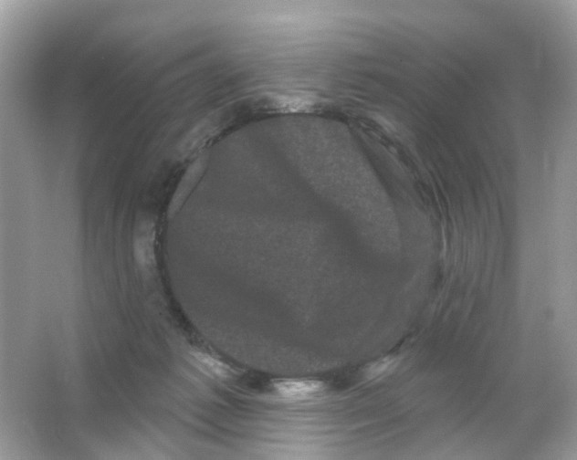 X0000065990221200603311939