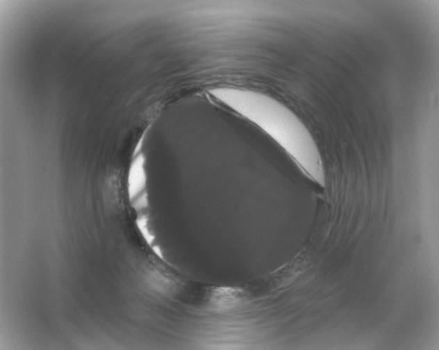 X0000065990222200603311939