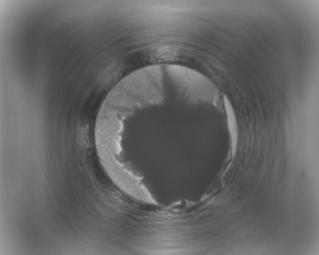 X0000065990224200603311939