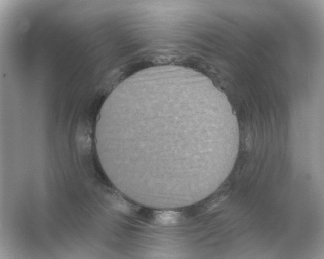 X0000065990226200603311939