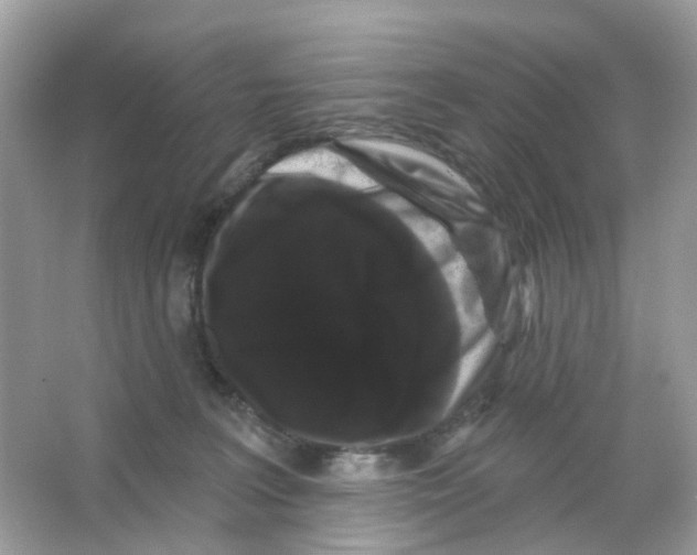 X0000065990227200603311939