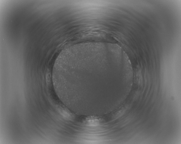 X0000065990228200603311939