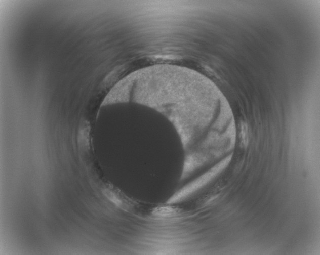 X0000065990231200603311939
