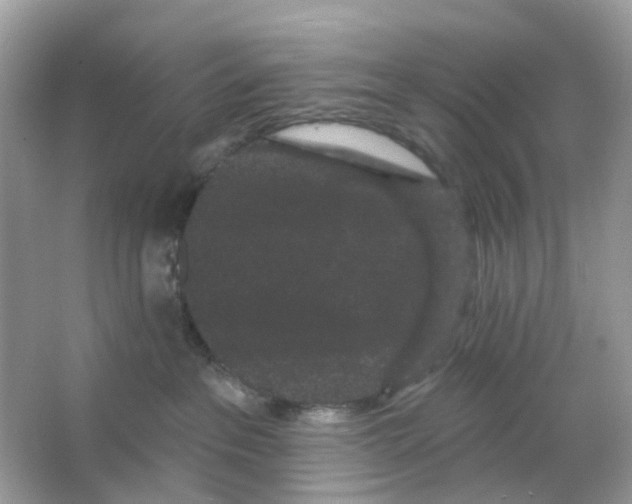 X0000065990237200603311939