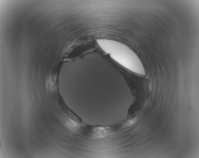 X0000065990239200603311939