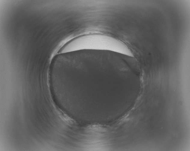 X0000065990244200603311938