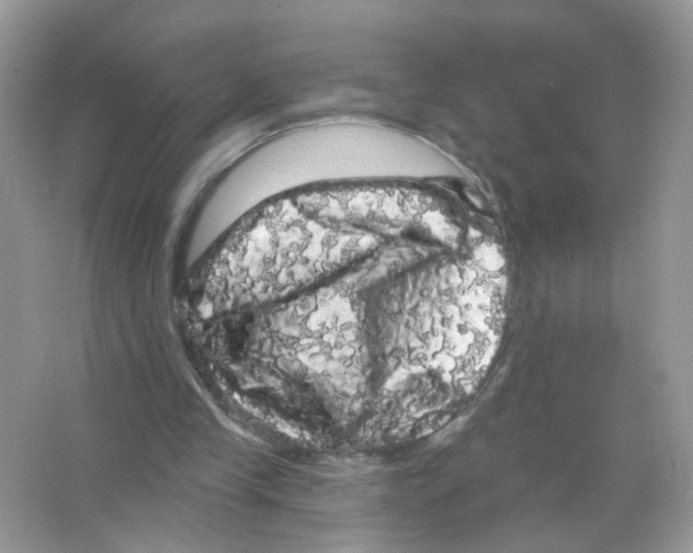 X0000065990245200603311938