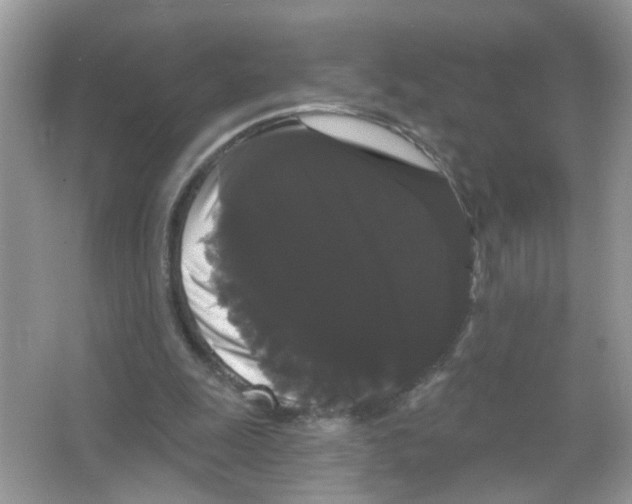 X0000065990247200603311938