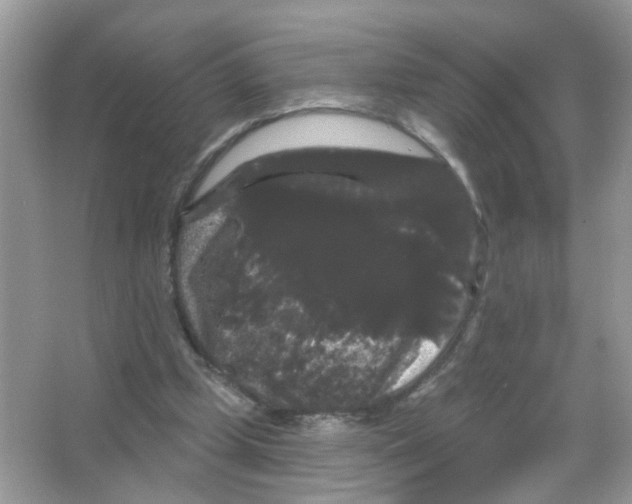X0000065990249200603311938