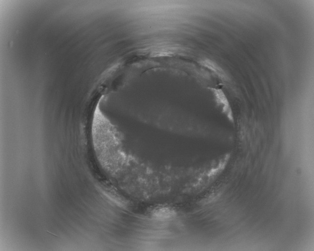 X0000065990258200603311938