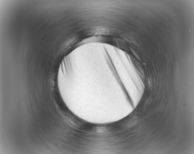 X0000065990264200603311938