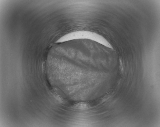 X0000065990276200603311939