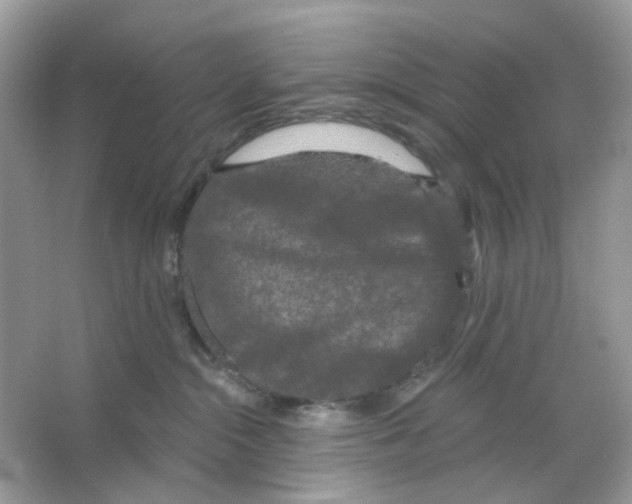 X0000065990284200603311939