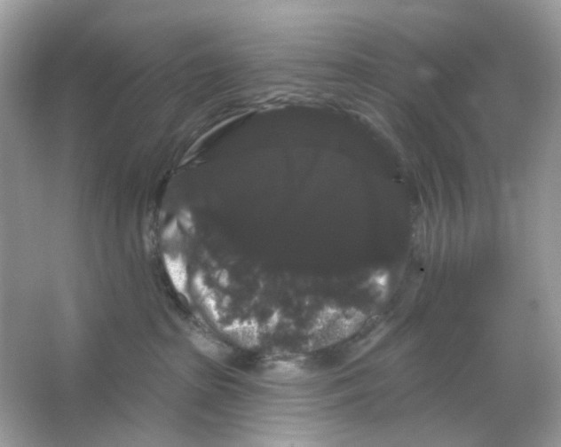 X0000065990285200603311939