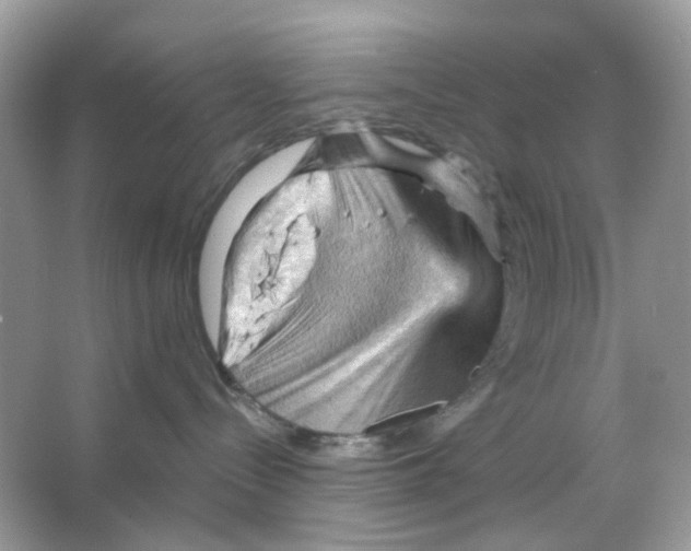 X0000065990288200603311939