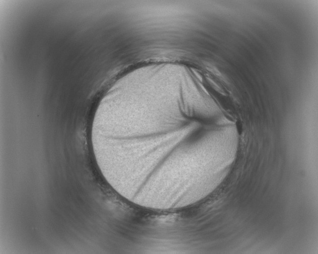 X0000065990306200603311938