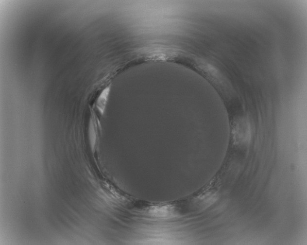 X0000065990314200603311938