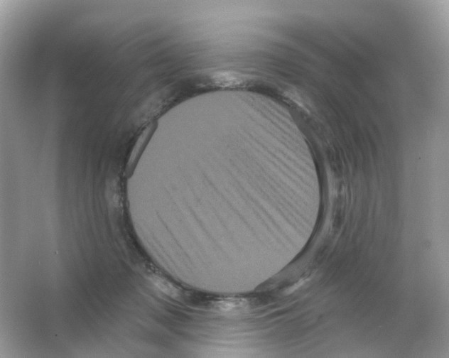 X0000065990317200603311938