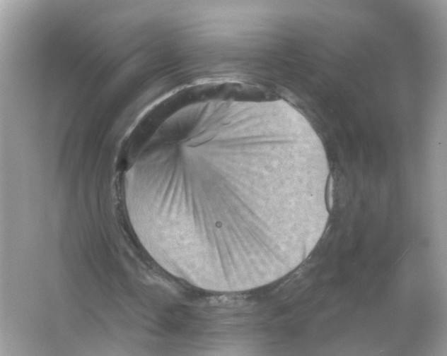X0000065990338200603311936