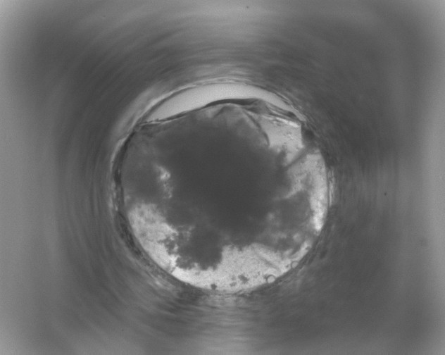 X0000065990339200603311936