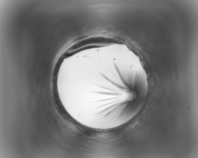 X0000065990344200603311937