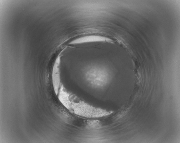 X0000065990355200603311937