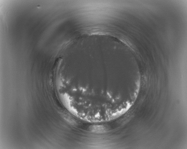 X0000065990361200603311937