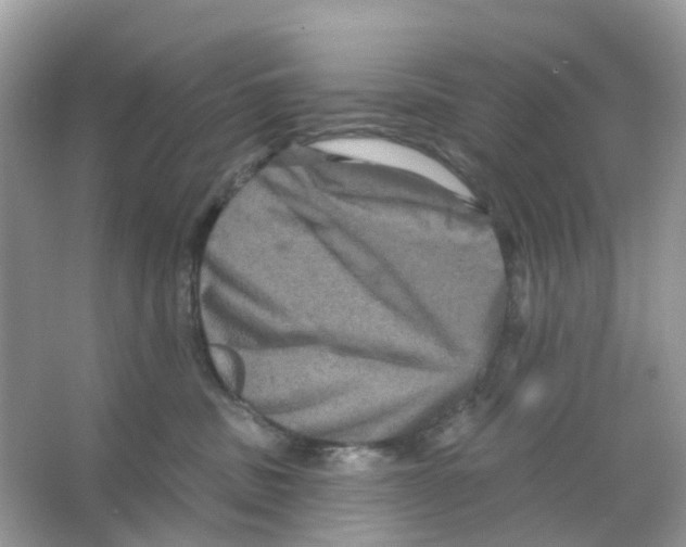 X0000065990379200603311937