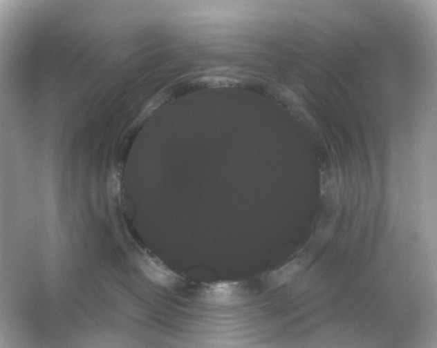 X0000065990382200603311937