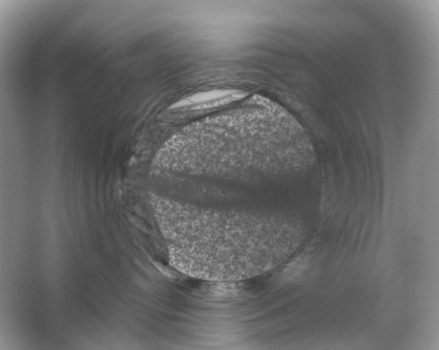 X0000065990384200603311937