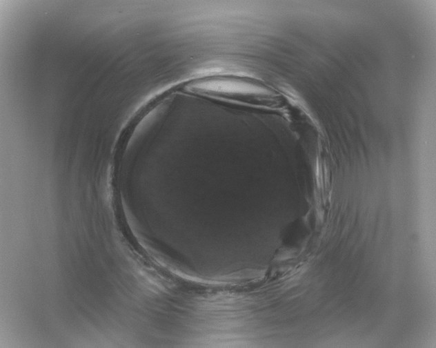 X0000065990387200603311936