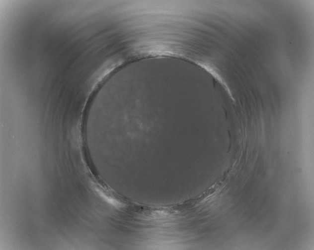 X0000065990390200603311936