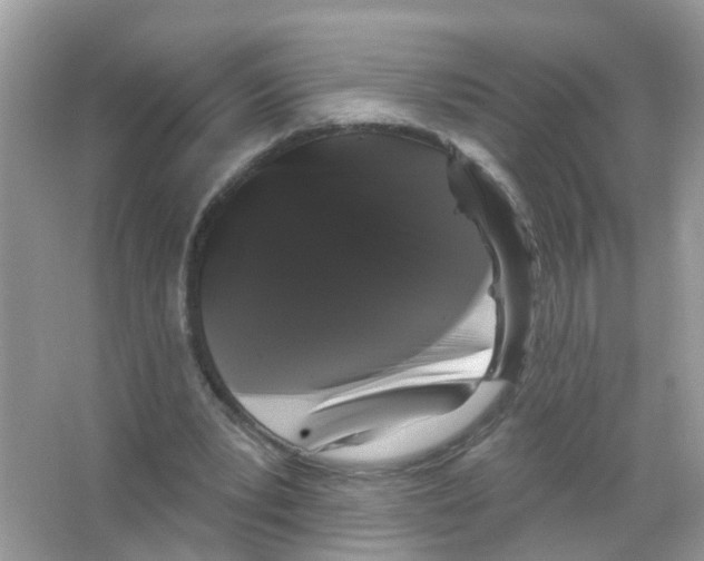 X0000065990391200603311936