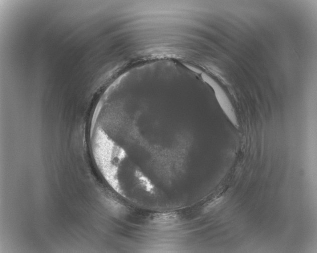 X0000065990398200603311936