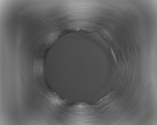 X0000065990412200603311936