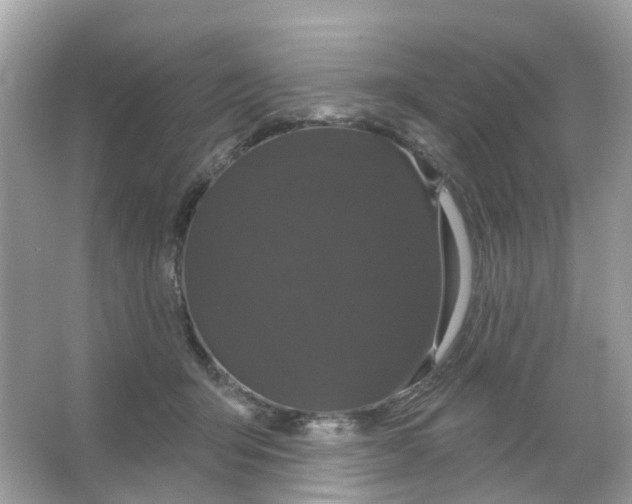 X0000065990415200603311936