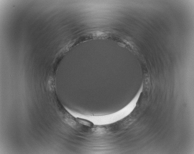 X0000065990419200603311936