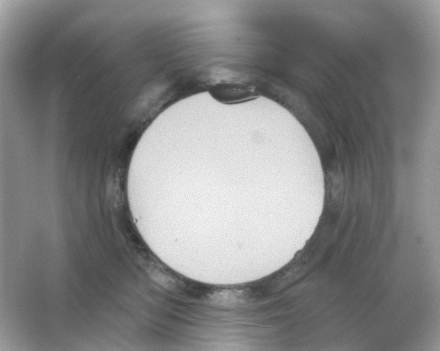 X0000065990422200603311936