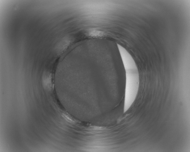 X0000065990428200603311936