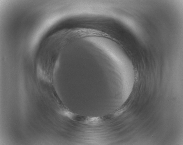 X0000065990431200603311936