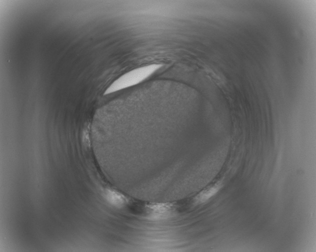 X0000065990432200603311936