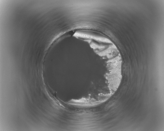 X0000065990434200603311935