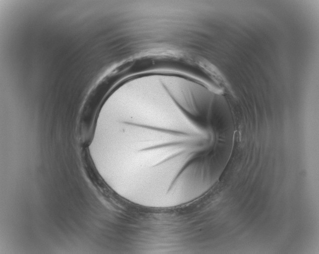 X0000065990436200603311935